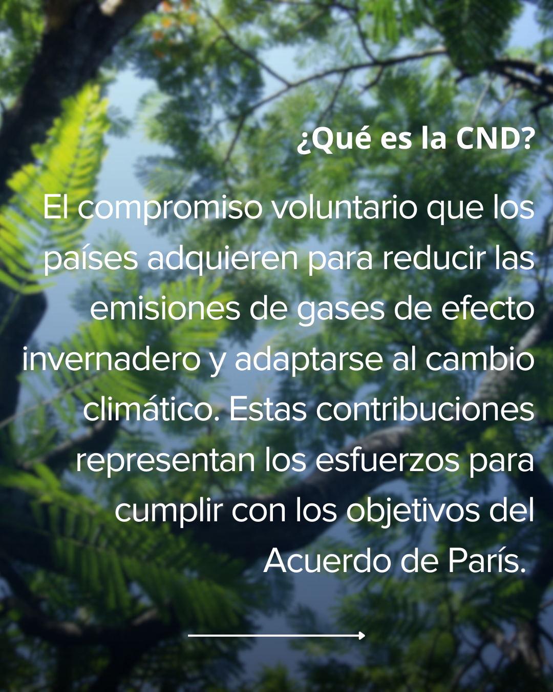 Contribución Nacionalmente Determinada de Cuba