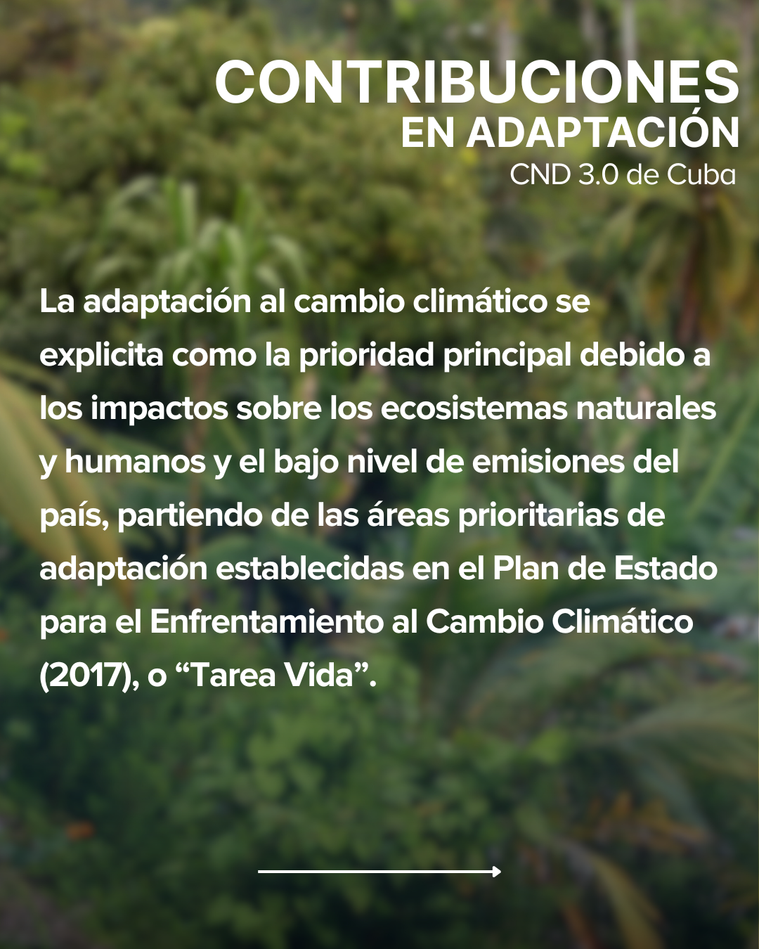 Contribución Nacionalmente Determinada de Cuba