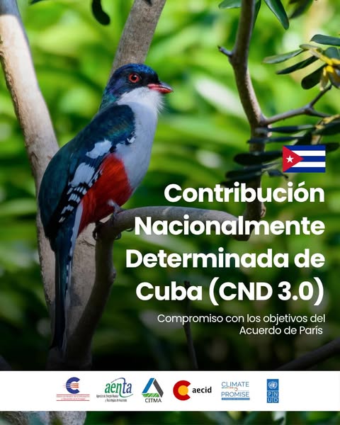 Contribución Nacionalmente Determinada
