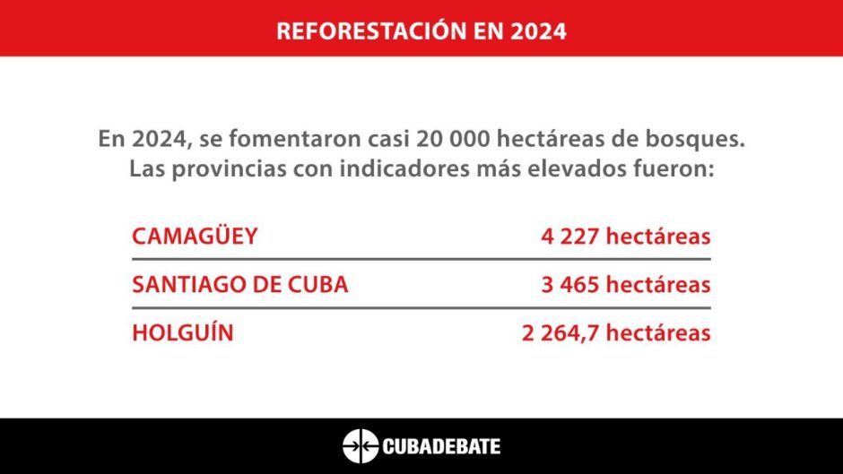 bosques cubanos